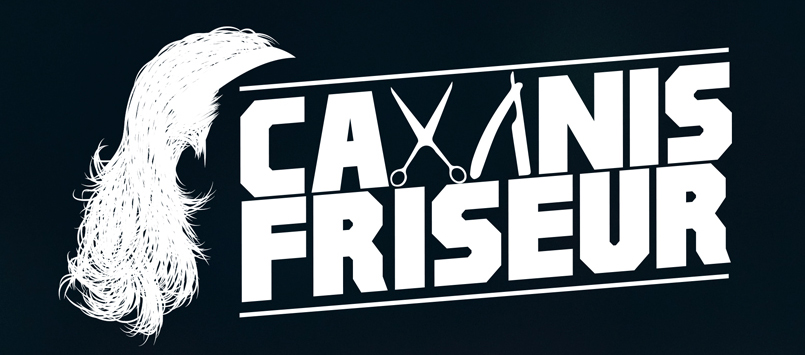 Cavanis Friseur Logo